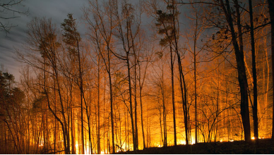 o4YBAFuYxG6AM-T7AANJXytu0e4158 (1).png o4YBAFuYxG6AM-T7AANJXytu0e4158 (1).png